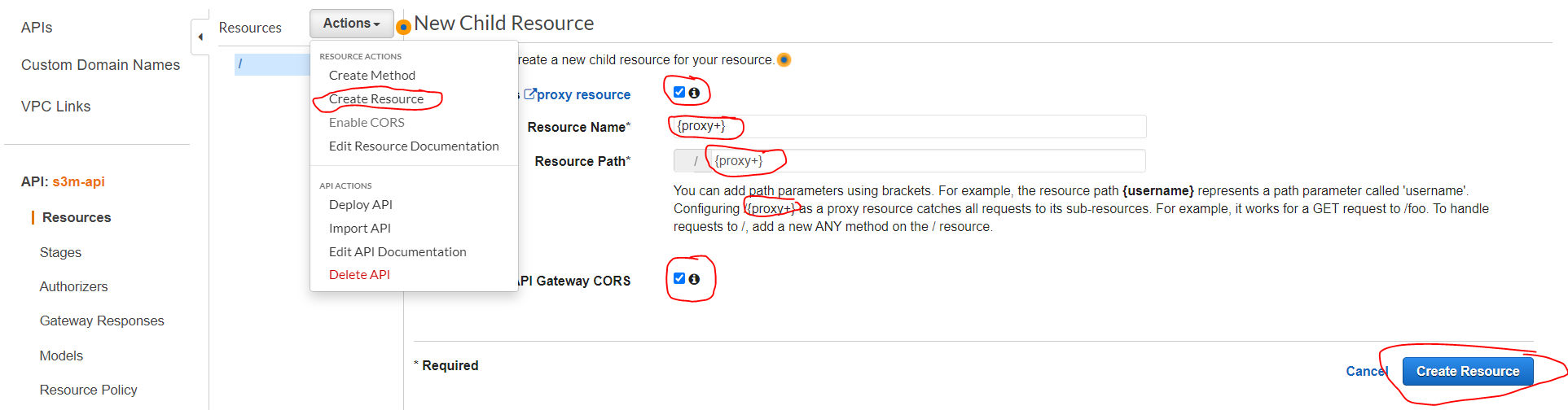 Create API Gateway Resource as proxy