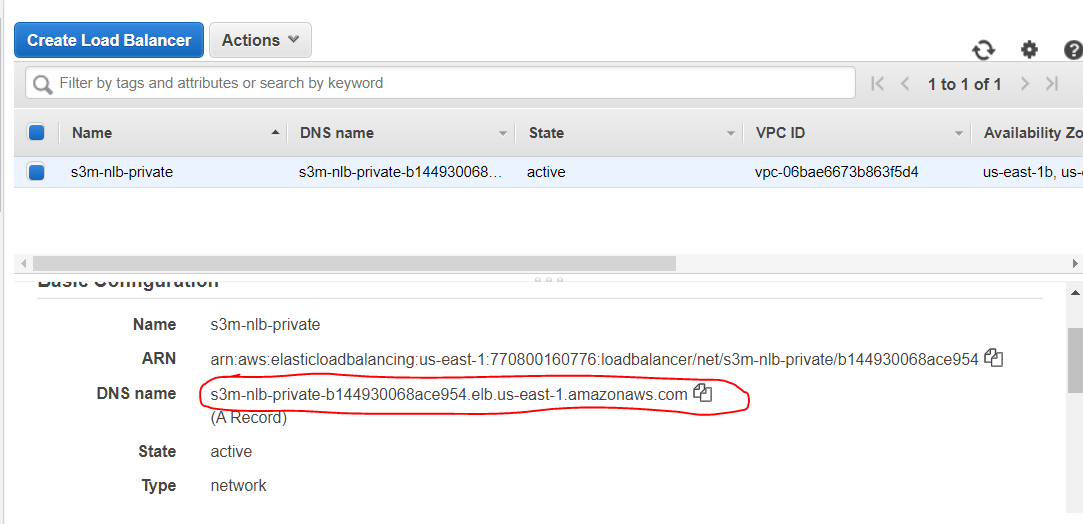 Get the DNS of Network Load Balancer